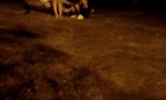 两个妹mei子深夜路边露出舔tian奶舔tian逼路边石头上椅子上撩起裙子舔tian逼很是诱惑不要错