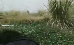 “我草泥马你快点这么骚”对白粗口淫ying荡白嫩美少.妇与老公粗鲁变态兄弟偸情驱车跑到野外打地铺啪pa啪内/射